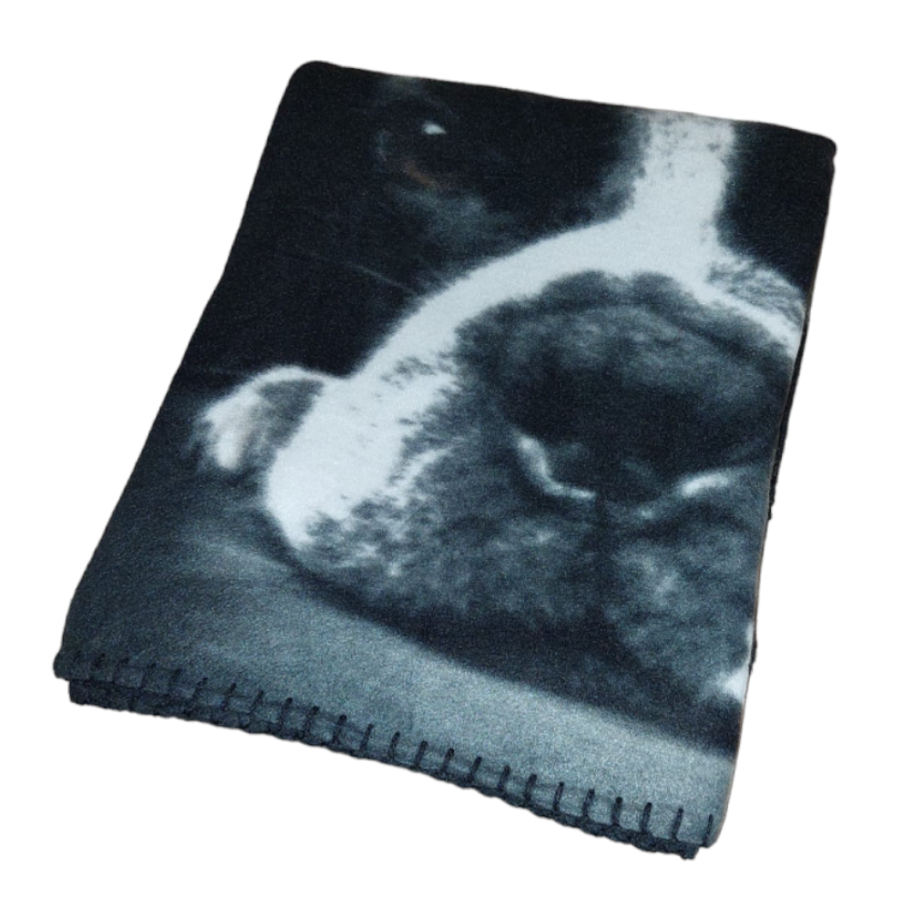 Französische Bulldogge Hund Fleecedecke Kuscheldecke Wohndecke 100x140cm