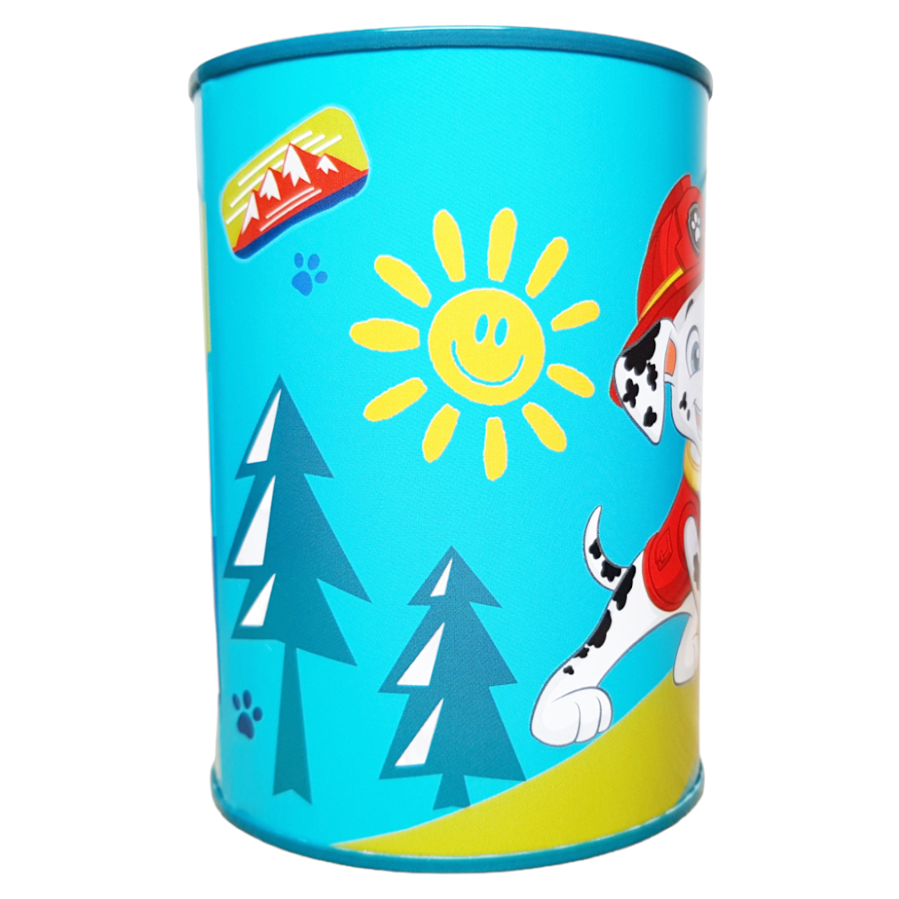 Paw Patrol Spardose Türkis Kinder Marshall Chase Rubble Geschenk Sparbüchse