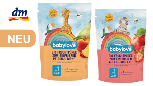 DM Babylove: Baby Eis Fruchtpüree zum Einfrieren