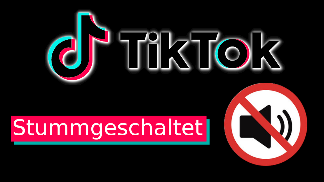 Millionen von TikTok-Videos wurden gestummt, aber was ist der Grund?