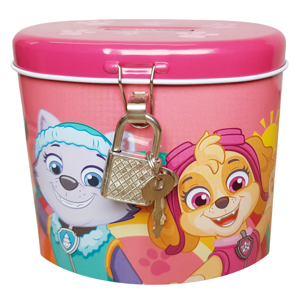 Paw Patrol Spardose Rosa Mädchen Kinder Skye Everest Geschenk Sparbüchse