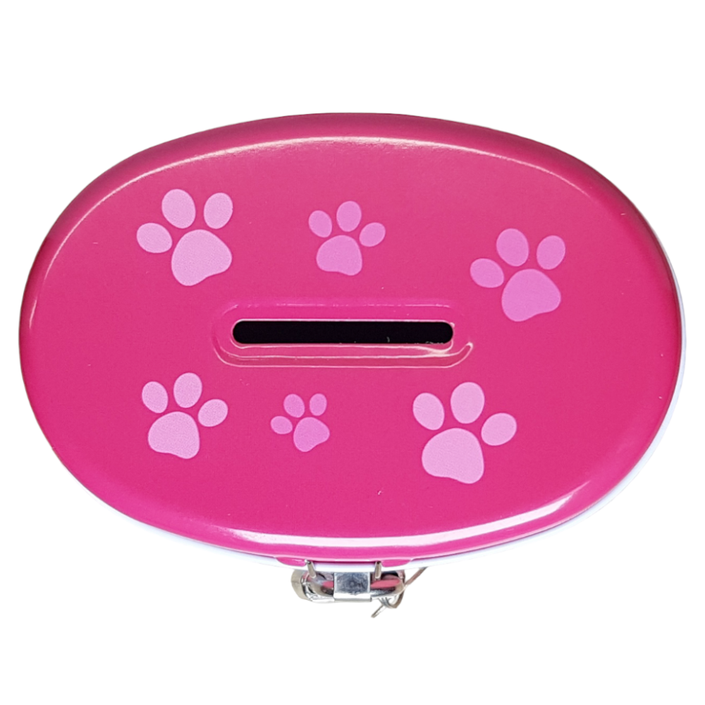 Paw Patrol Spardose Rosa Mädchen Kinder Skye Everest Geschenk Sparbüchse