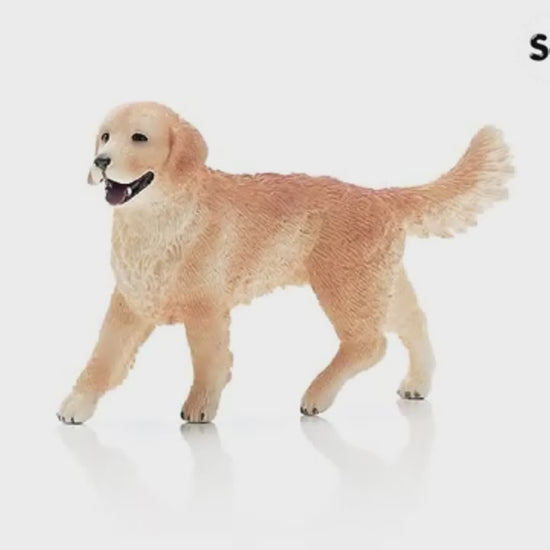 Schleich Golden Retriever Hündin (16395) - Spielfigur - Video