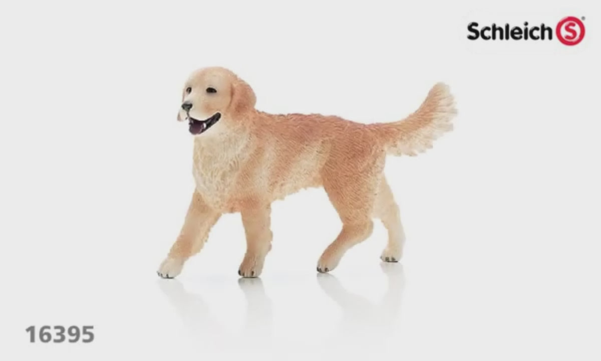 Schleich Golden Retriever Hündin (16395) - Spielfigur - Video