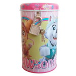 Paw Patrol Spardose für Mädchen Rosa Metall Sparbüchse Sparschwein