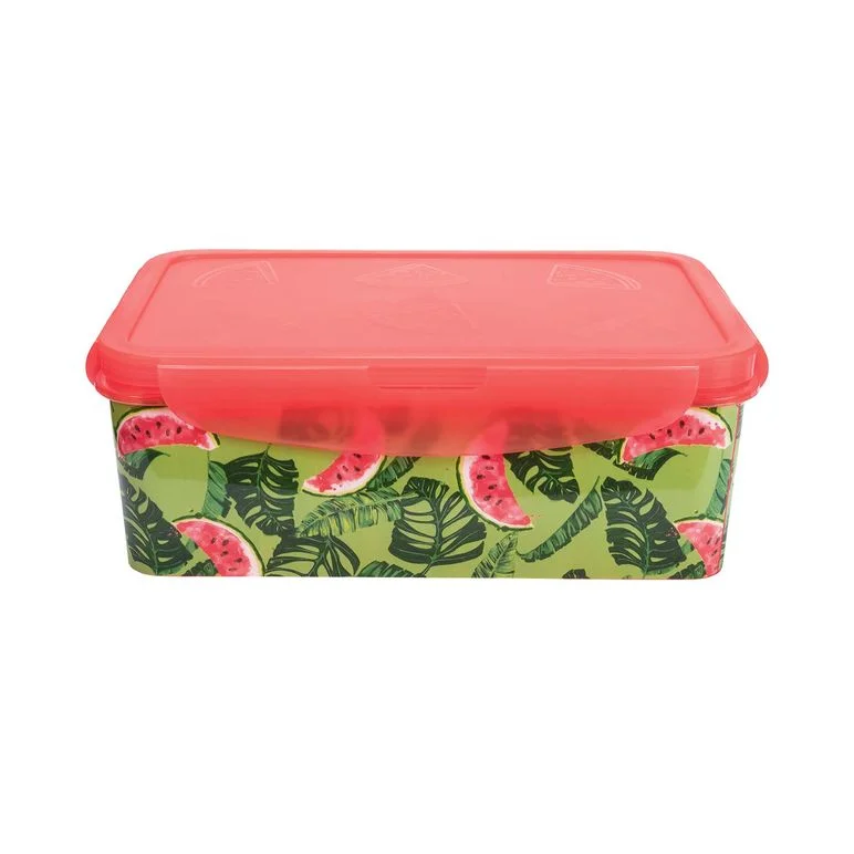 Frischhaltedose 1,1L Snackbox Brotdose Melone Obst Sommer Lunchbox Ernesto